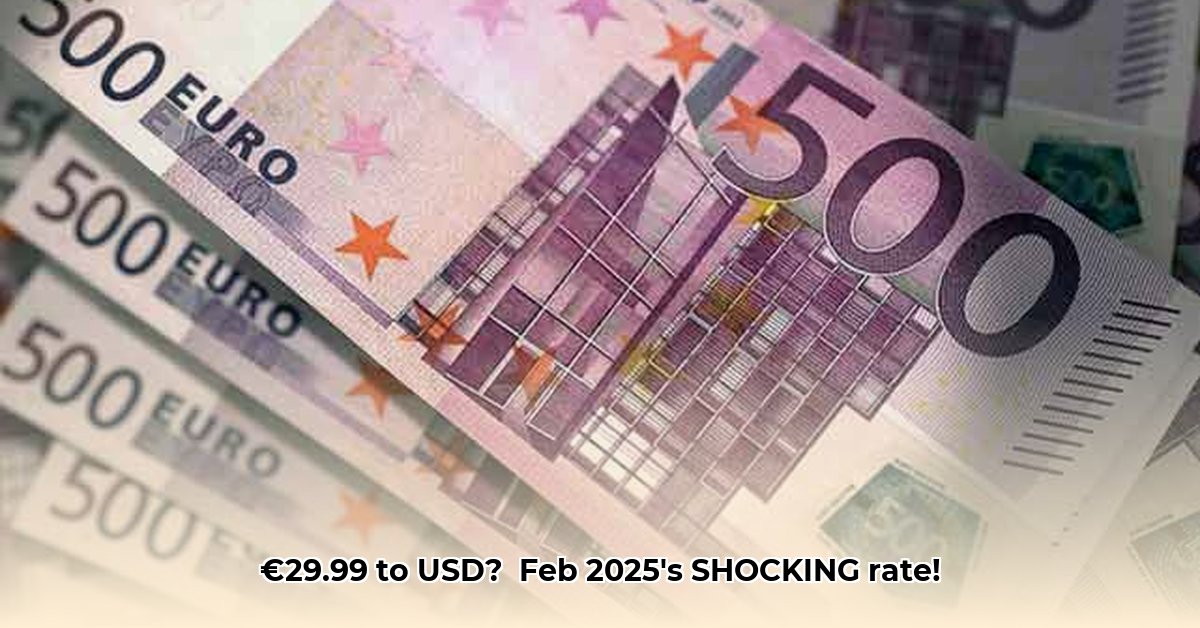 29-99-euros-to-us-dollars